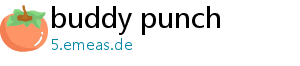 buddy punch